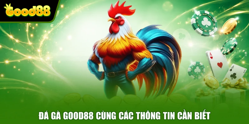 Đá Gà Good88 - Theo Dõi Trận Đấu Sắc Nét Đặt Cược Kịch Tính Đá gà Good88 cùng các thông tin cần biết